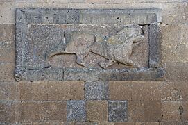 Ani Walls Decoration 5471