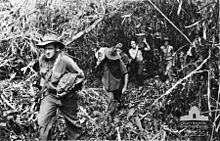 Australian infantrymen advancing towards Wareo
