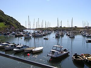 Axmouth harbour