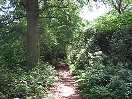 Barnet Gate Wood path