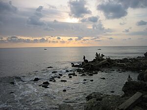 Barranquilla, el mar desde las Bocas de Cenizas-20050625