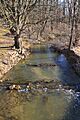 Beaver Run looking upstream from Pennsylvania Route 192
