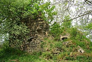 Ruins of Belltrees Peel