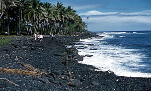 Black Sand Beach big island Hawaii 1959