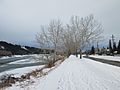 Bow River Pathway, Parkdale in winter