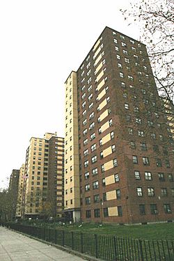 The Samuel J. Tilden Houses, one of many NYCHA public housing developments located in Brownsville