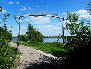 Bug Arch at Idle Valley Nature Reserve