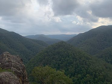 Cabbage Tree Lookout, Grose Vale.jpg