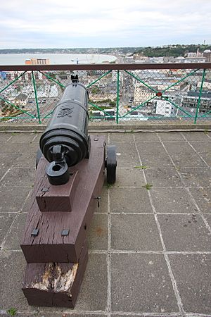 Cannon at Fort Regent