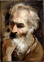 Carracci, Annibale - Head of an Old Man - Google Art Project