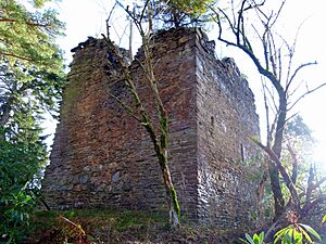 Castle-cluggy-loch-monzievaird-8 12131980276