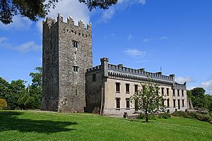 Castles of Munster- Castle Widenham, Cork (1) (geograph 3036915)