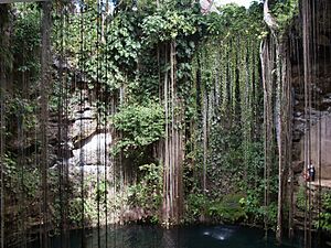 Cenote en Chichén Itzá. Quintana Roo. México-7