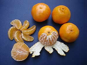 Clementines whole, peeled, half and sectioned