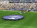 Coba-arena-ffm007