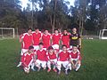 Colegio de la Preciosa Sangre de Pichilemu soccer team, 2013