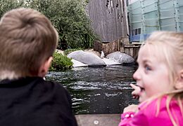 DSC 4942 (16415619924)