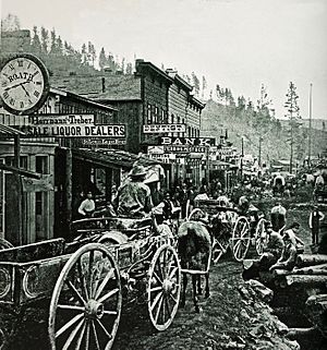 Deadwood 1876a
