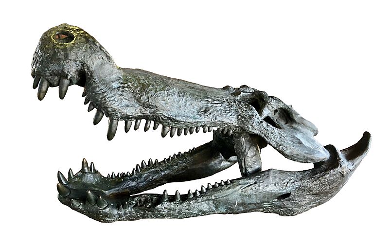 Deinosuchus-0251