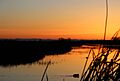 Delevan national wildlife refuge sunrise