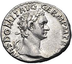 Domitian Denarius