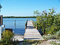 Don Pedro Island SP land base02