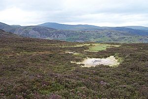 Dried out pools on Pen y Graig Gron - geograph.org.uk - 210803