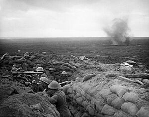 Durham Light Infantry signallers Battle of Menin Road 1917 IWM Q 5968