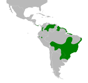 Emberizoides herbicola map.svg