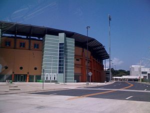 Estadio Pedro Montanez