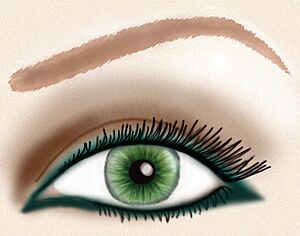 Eye liner