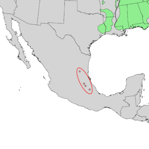 Fagus grandifolia ssp mexicana range map 0.png