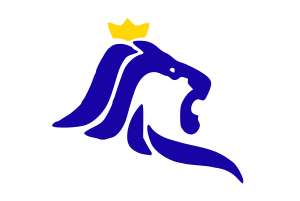 Flag of Luxembourg (city)