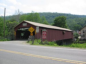 Forksville Covered Bridge East Portal and North Side