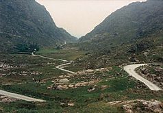 Gap of Dunloe, from the highest point - geograph.org.uk - 248901