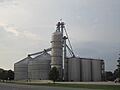 Grain elevator, Wisner, LA IMG 0312