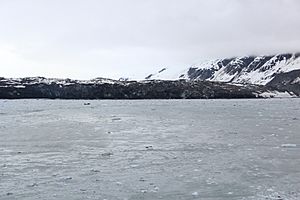 Grand Pacific Glacier in 2013
