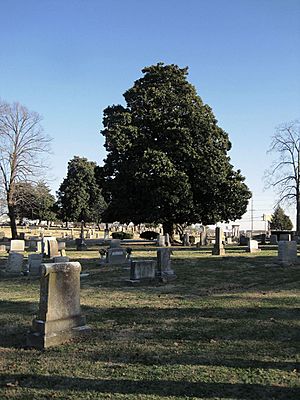 Greenwood Cemetery Nashville TN 2013-12-26 021