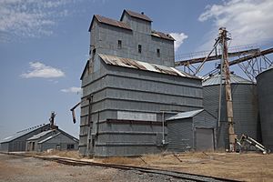 Grier New Mexico Grain Elevator 2011