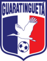 Guaratinguetá Futebol Logo