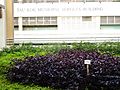 HK 牛頭角下邨 Lower Ngau Tau Kok Estate view Municipal Services Building name sign Nov-2015 DSC