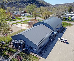 City hall and library