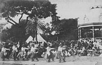 Honolulu dancers at Kalakaua's 49th Birthday Hula (PP-32-9b-005)