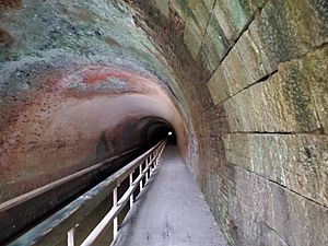 Inside the Paw Paw Tunnel