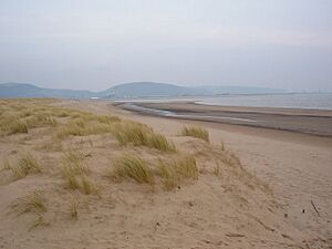 Jersey Marine Beach - geograph.org.uk - 461077