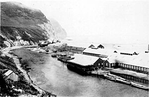Karluk Cannery, Karluk, Alaska, nd (COBB 261)