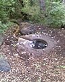 Licton-springs-1