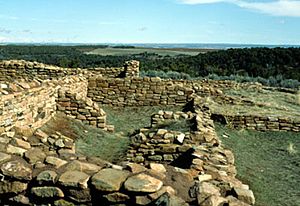 Lowry Pueblo ruins