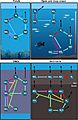 Main marine nitrogen cycles