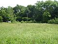Major Farm, Braiseworth 3
